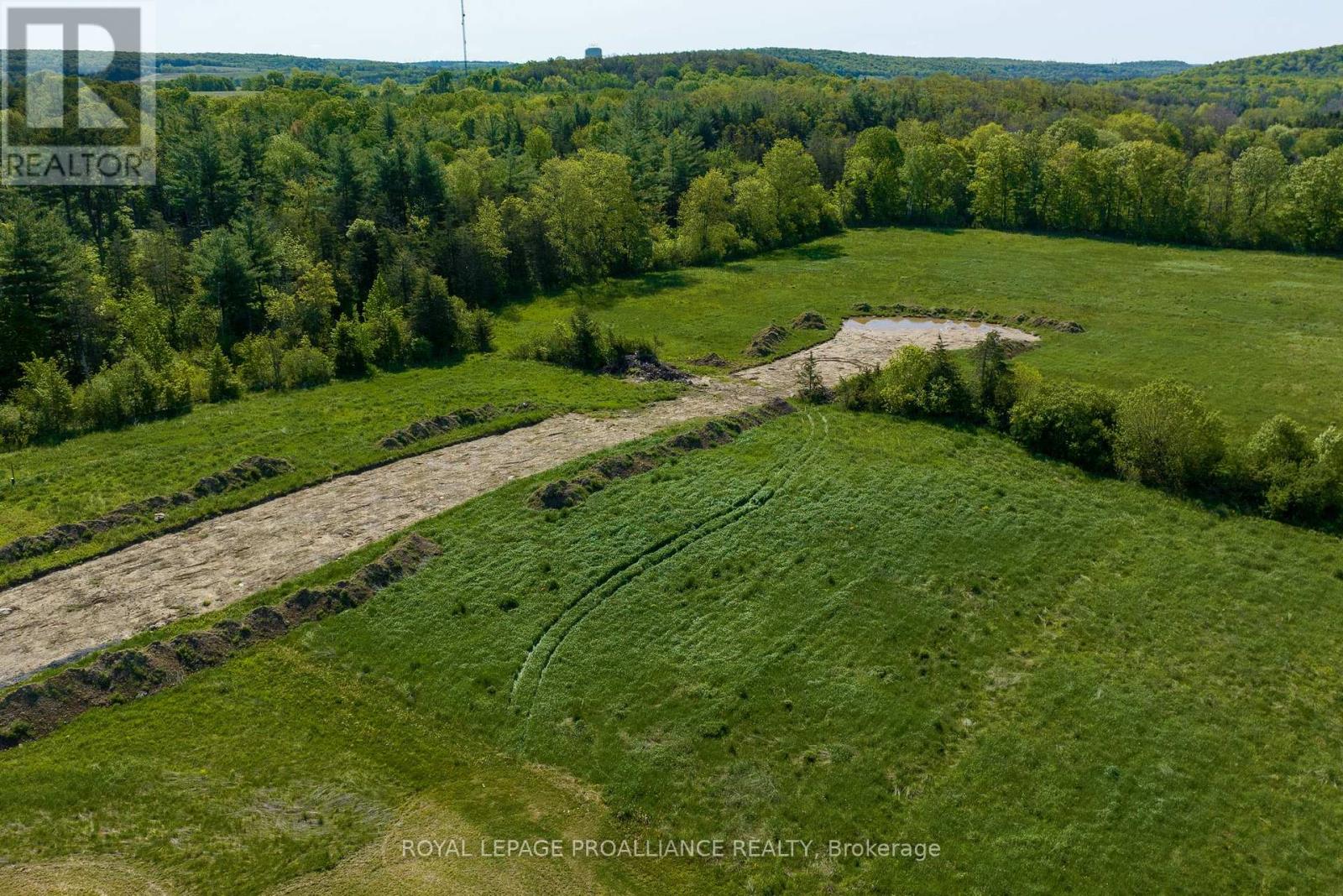 12 Berend Court, Quinte West, Ontario  K0K 2C0 - Photo 5 - X11958195