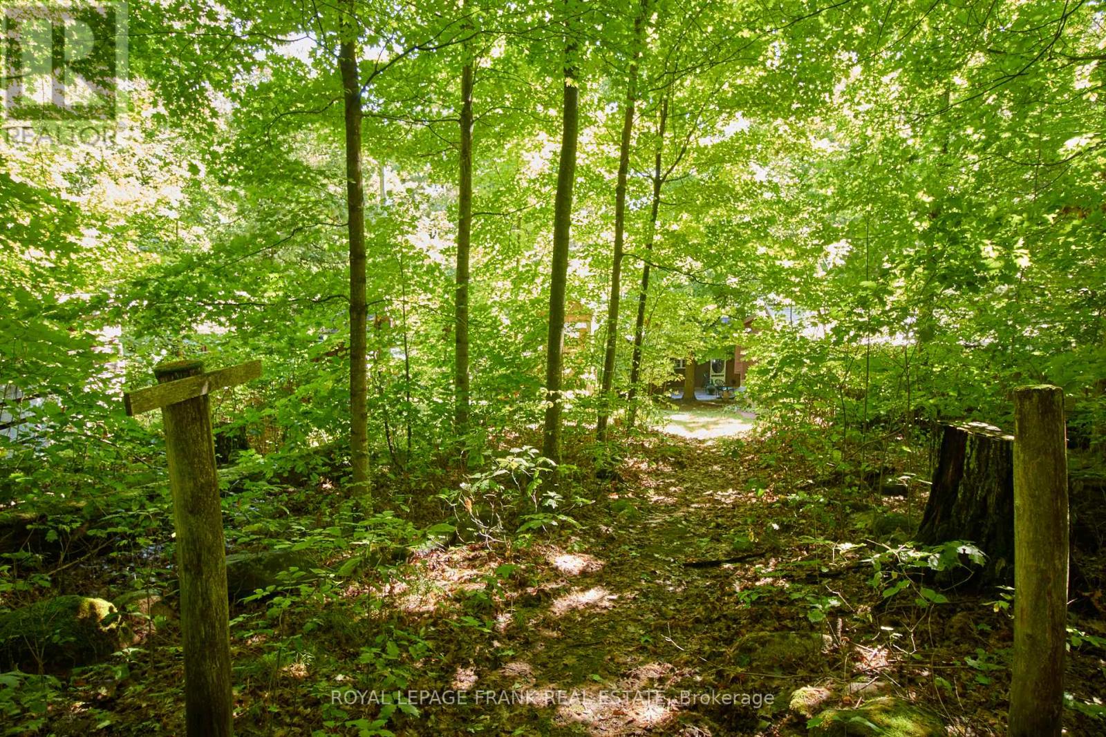 2a White Island, Alnwick/haldimand, Ontario  K0K 2X0 - Photo 26 - X12065403