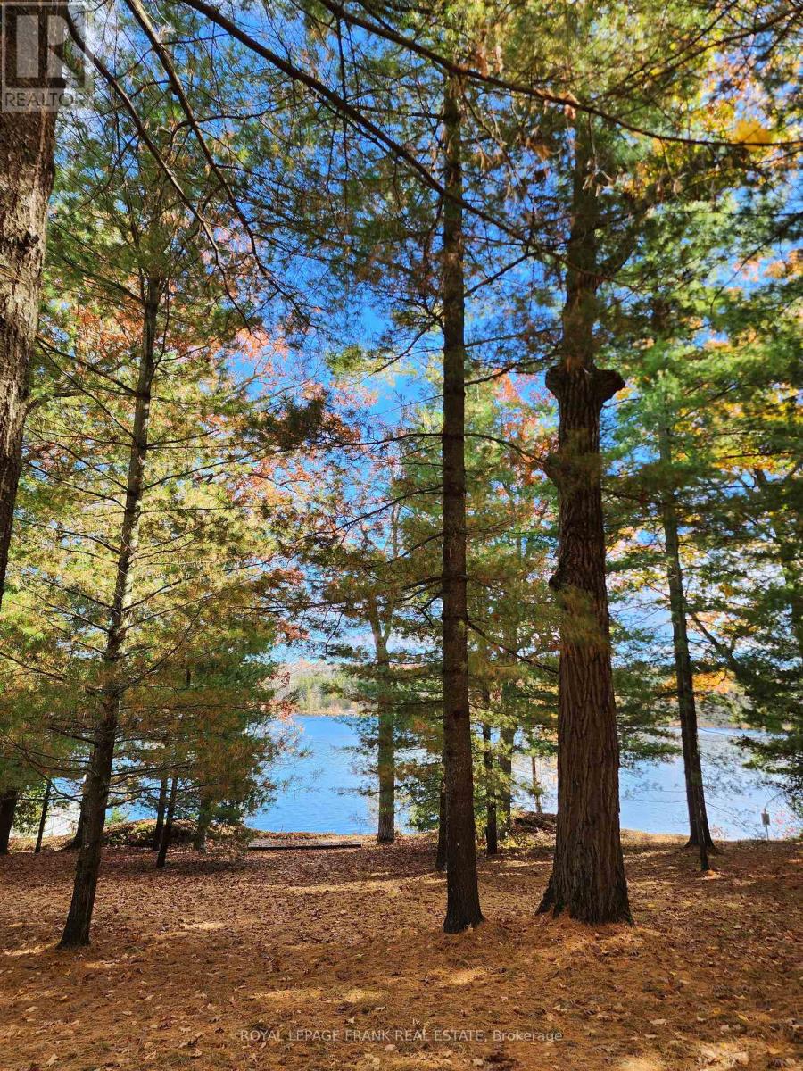 2a White Island, Alnwick/haldimand, Ontario  K0K 2X0 - Photo 28 - X12065403