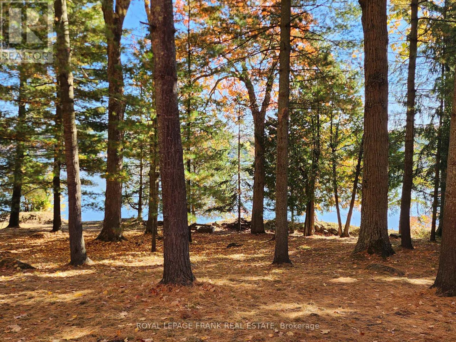 2a White Island, Alnwick/haldimand, Ontario  K0K 2X0 - Photo 29 - X12065403