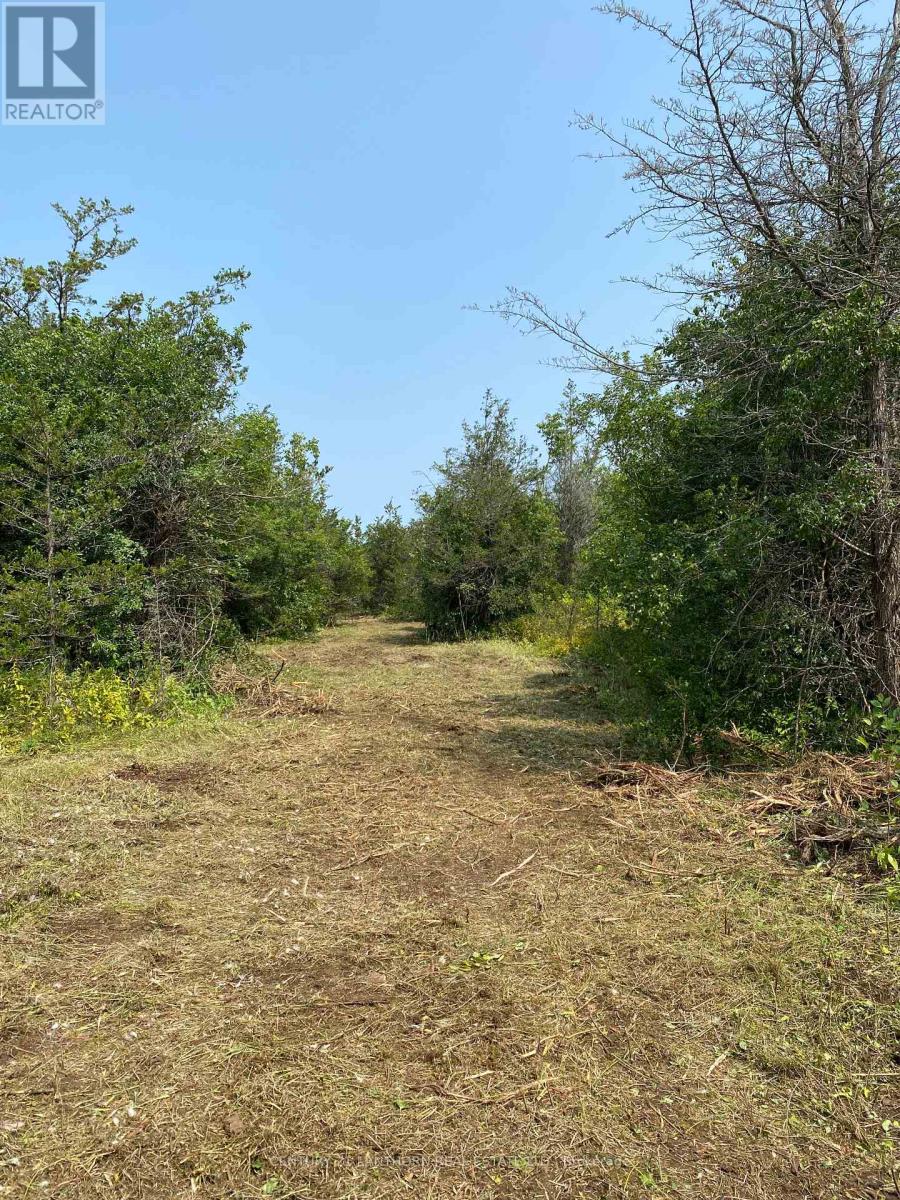 1677 County 8 Road, Prince Edward County, Ontario  K0K 2T0 - Photo 37 - X12135758