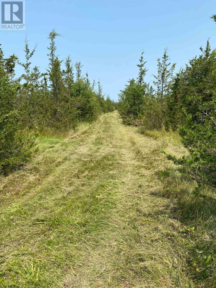 1677 County 8 Road, Prince Edward County, Ontario  K0K 2T0 - Photo 39 - X12135758