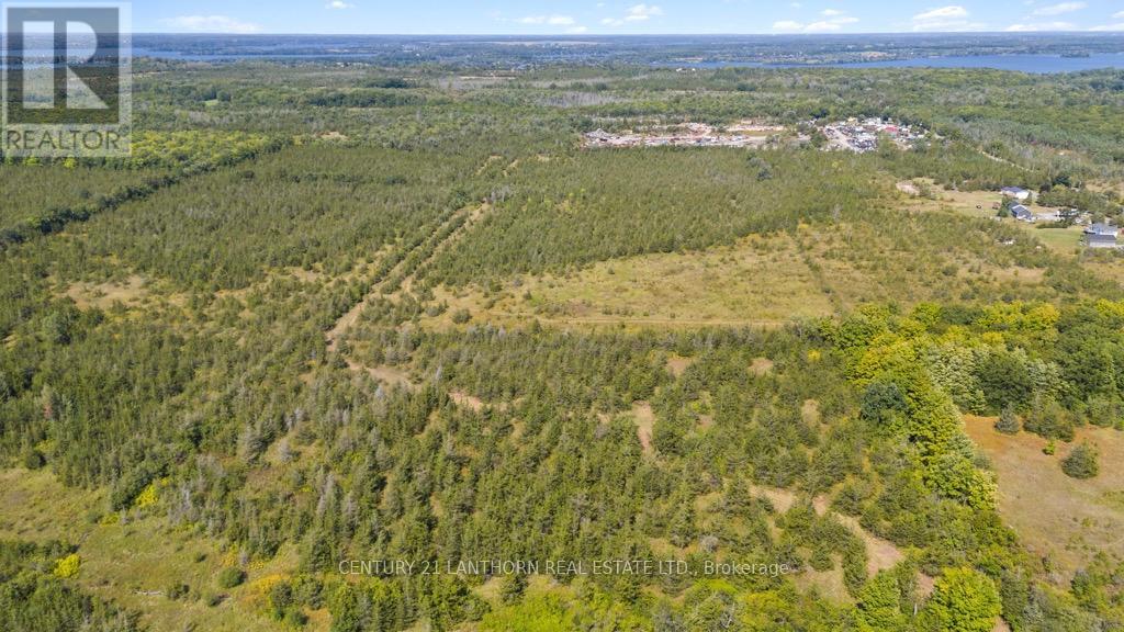 1677 County 8 Road, Prince Edward County, Ontario  K0K 2T0 - Photo 40 - X12135758