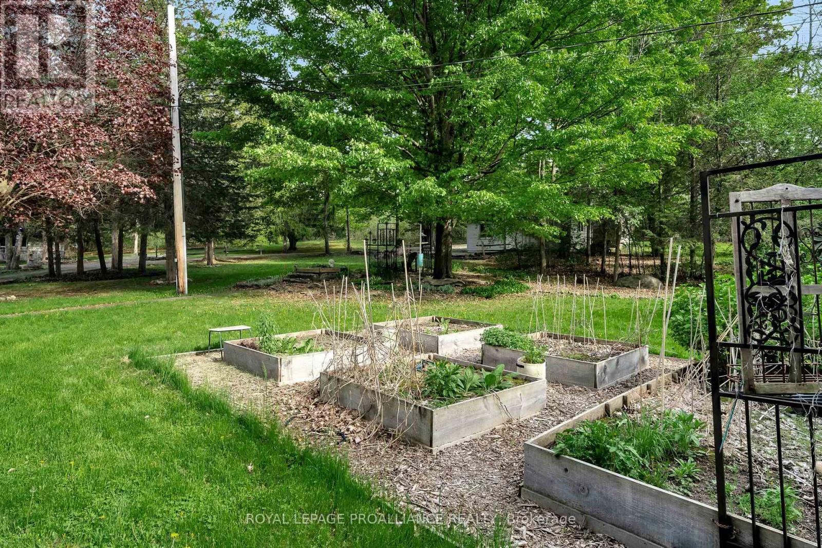 12112c Loyalist Parkway, Prince Edward County, Ontario  K0K 2T0 - Photo 43 - X12169621