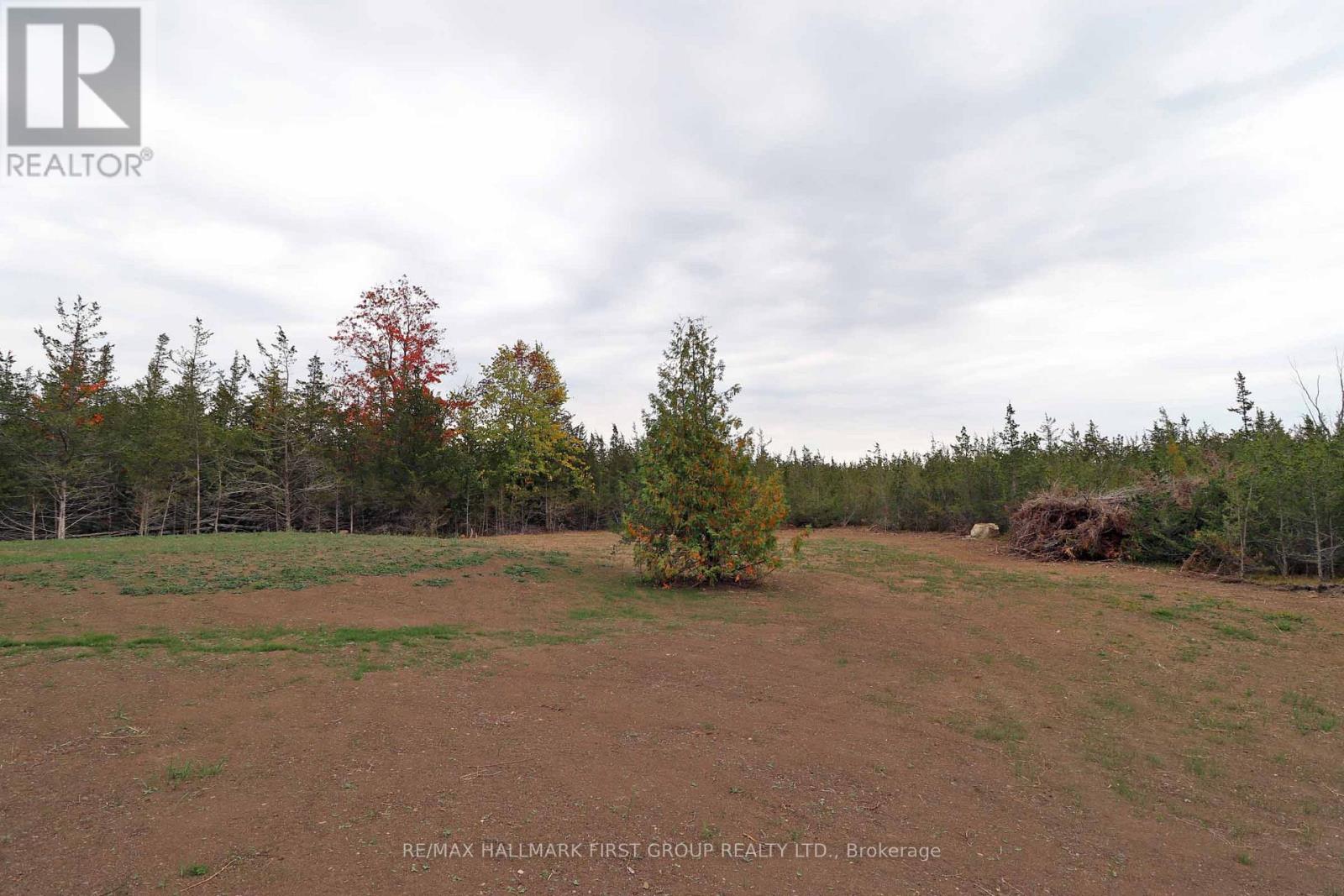 972 Enright Road, Tyendinaga, Ontario  K0K 3A0 - Photo 47 - X12177126