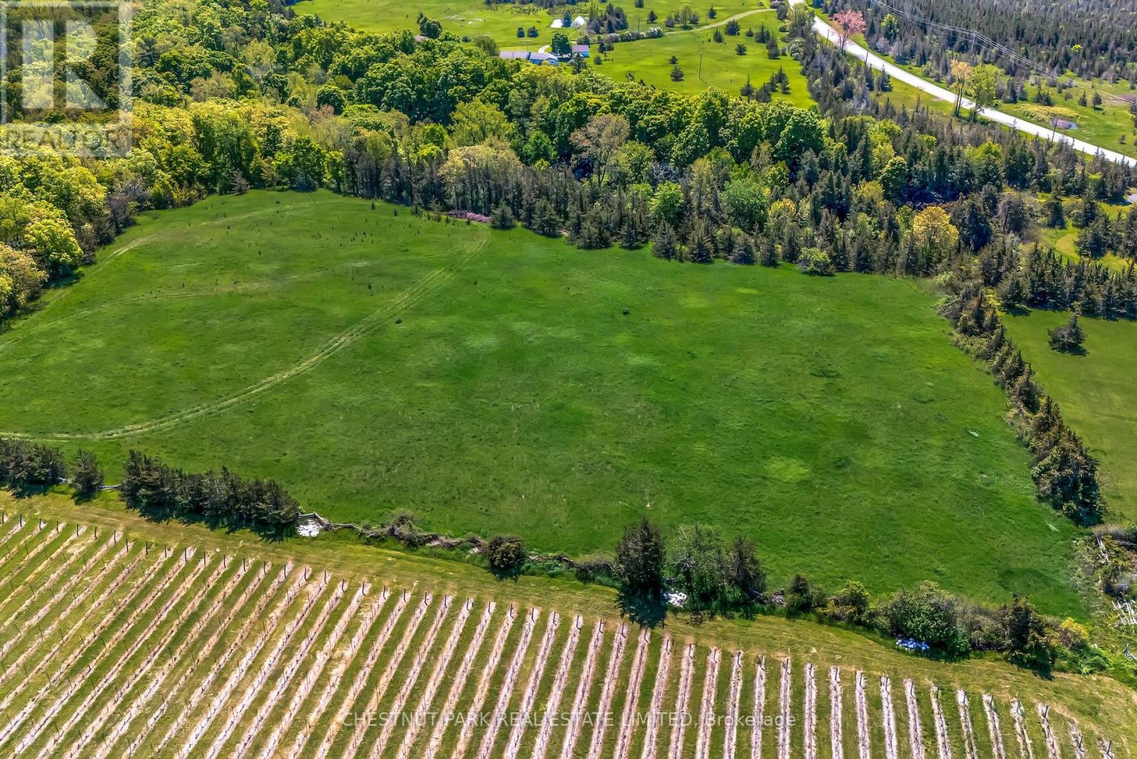 419 County Rd 25, Prince Edward County, Ontario  K0K 2T0 - Photo 5 - X12189479