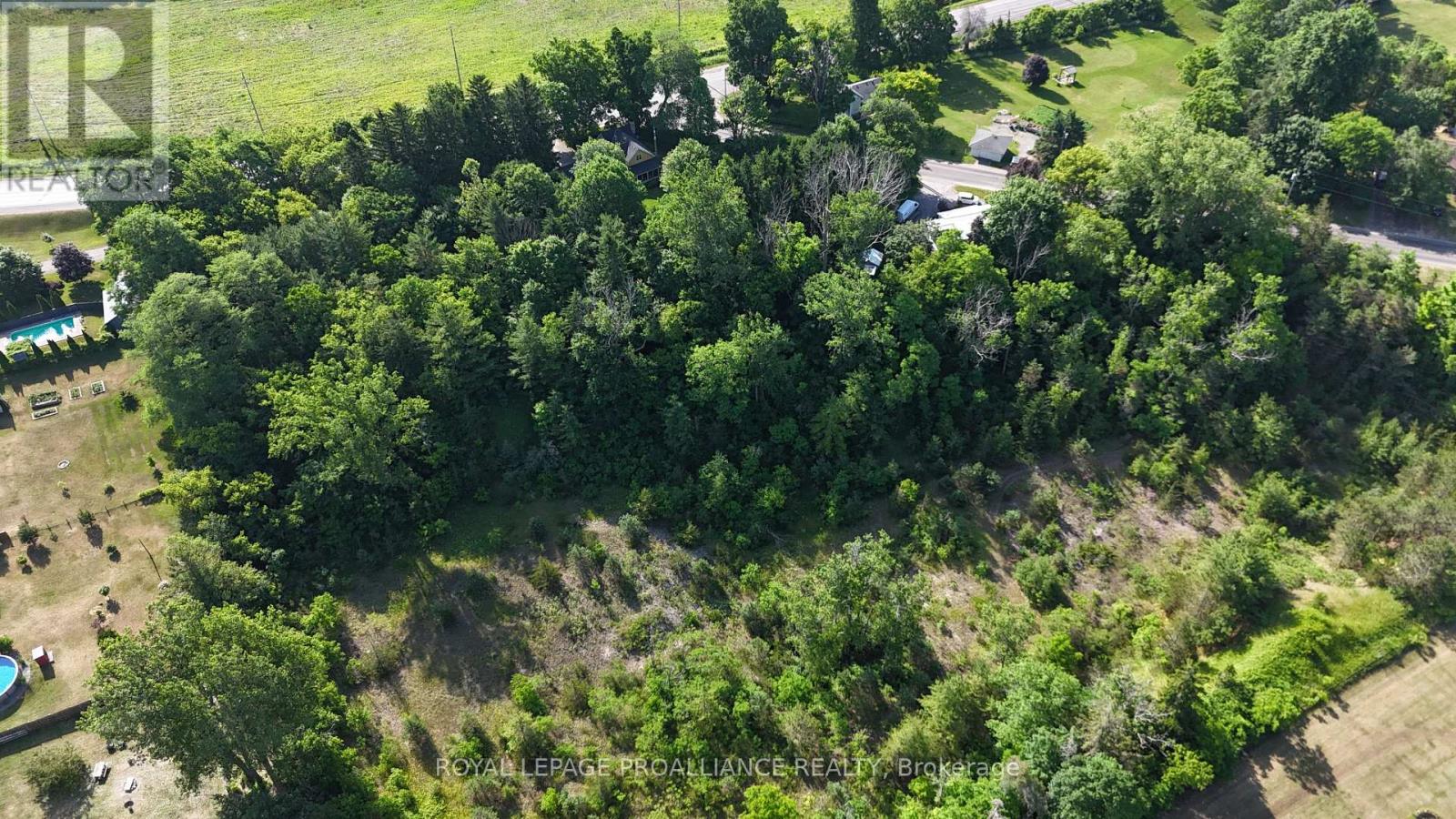 352 County Road 10, Prince Edward County, Ontario  K0K 2T0 - Photo 29 - X12245340