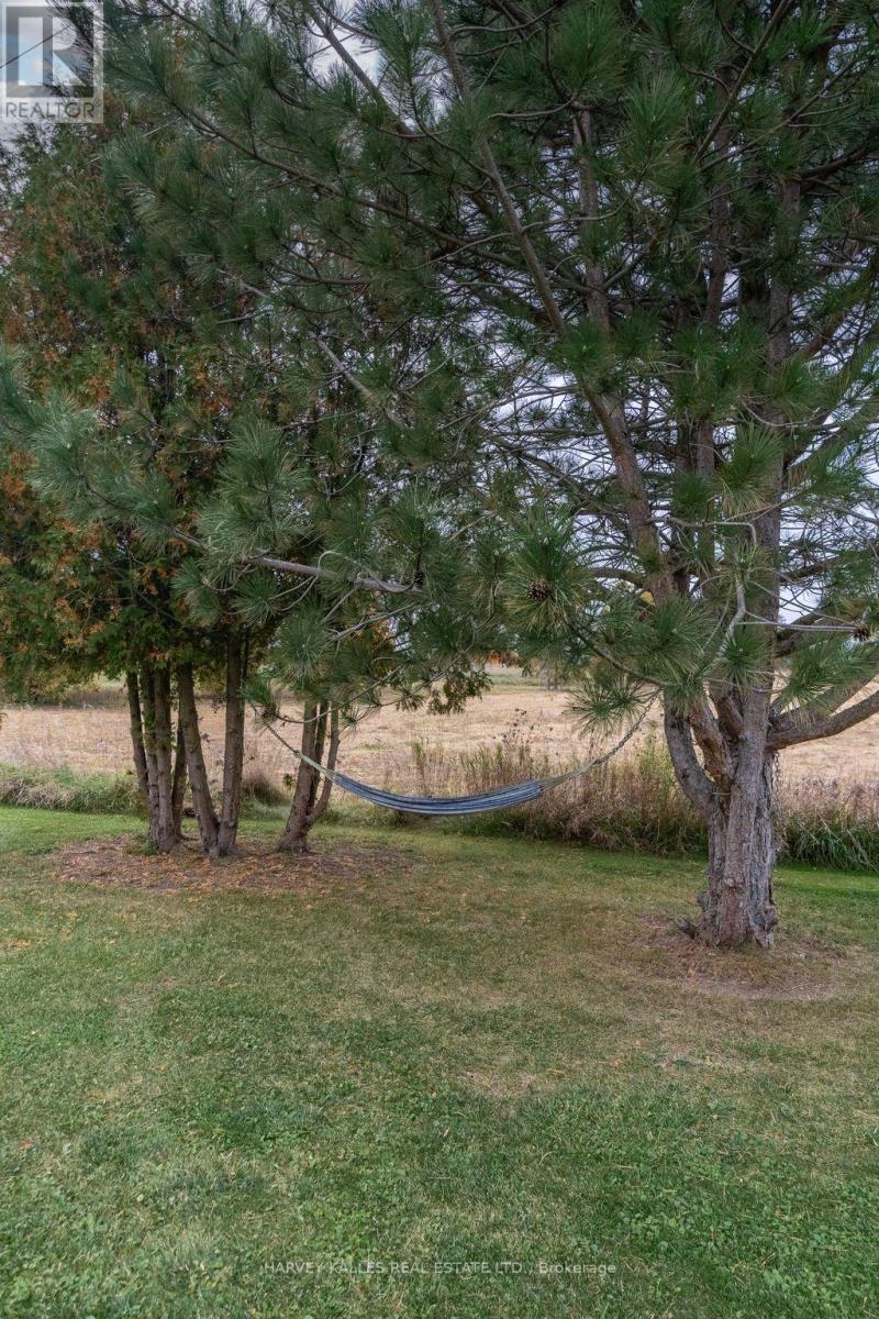 286 County Rd 11 Road, Prince Edward County, Ontario  K0K 2T0 - Photo 40 - X12246601