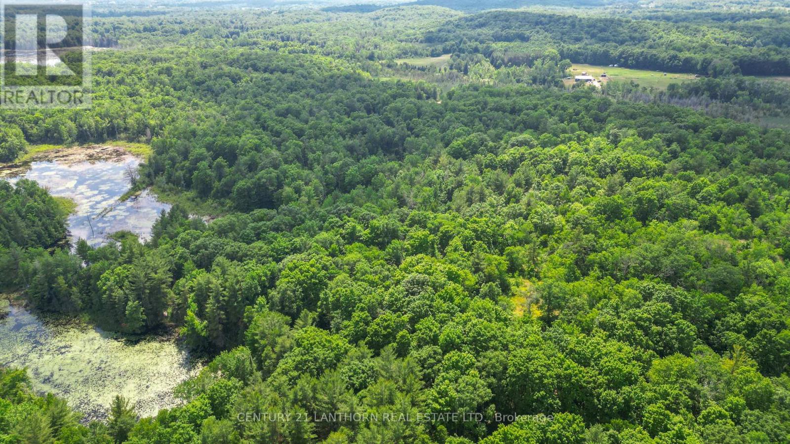 932 Hunt Club Road, Madoc, Ontario  K0K 2K0 - Photo 48 - X12247380