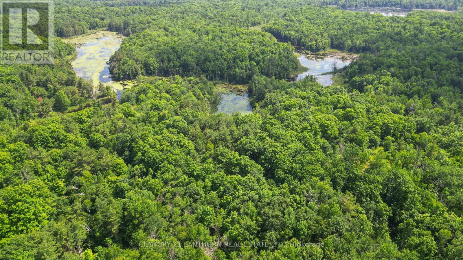932 Hunt Club Road, Madoc, Ontario  K0K 2K0 - Photo 49 - X12247380