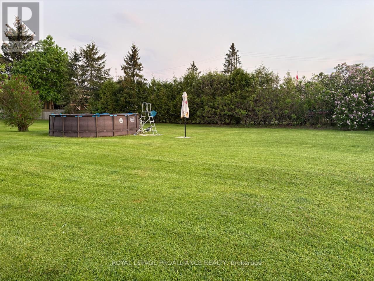 113 South Trent Street, Quinte West, Ontario  K0K 2C0 - Photo 41 - X12275250