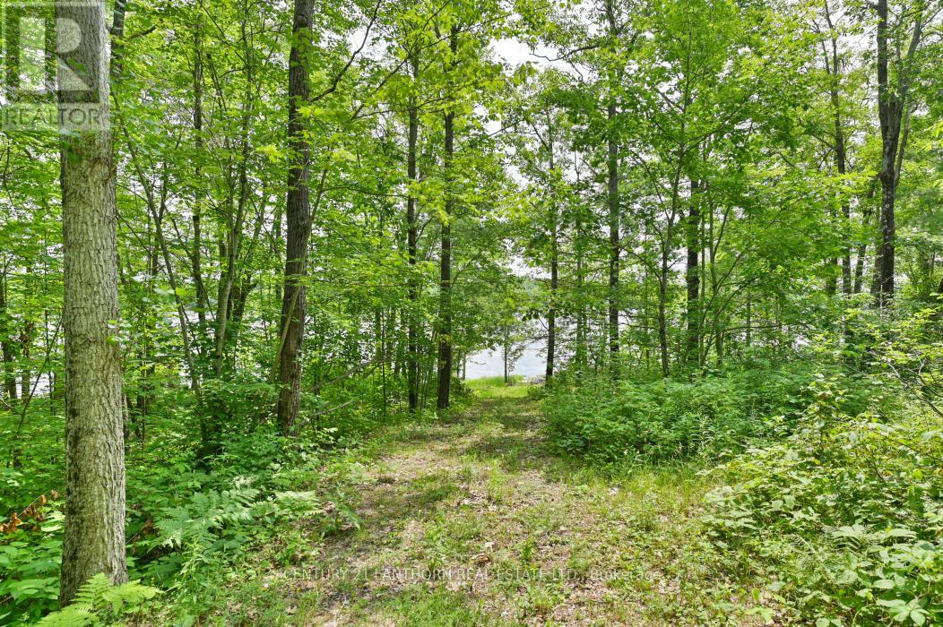 656 A Yarrow Lane, Marmora And Lake, Ontario  K0K 2K0 - Photo 28 - X12281196