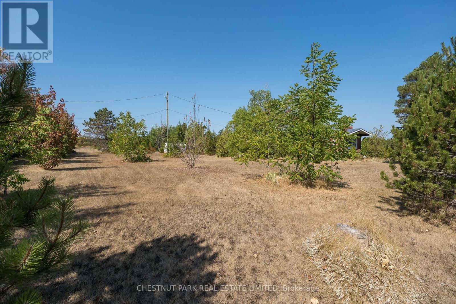 2035 County Rd 7, Prince Edward County, Ontario  K0K 2T0 - Photo 11 - X12285247