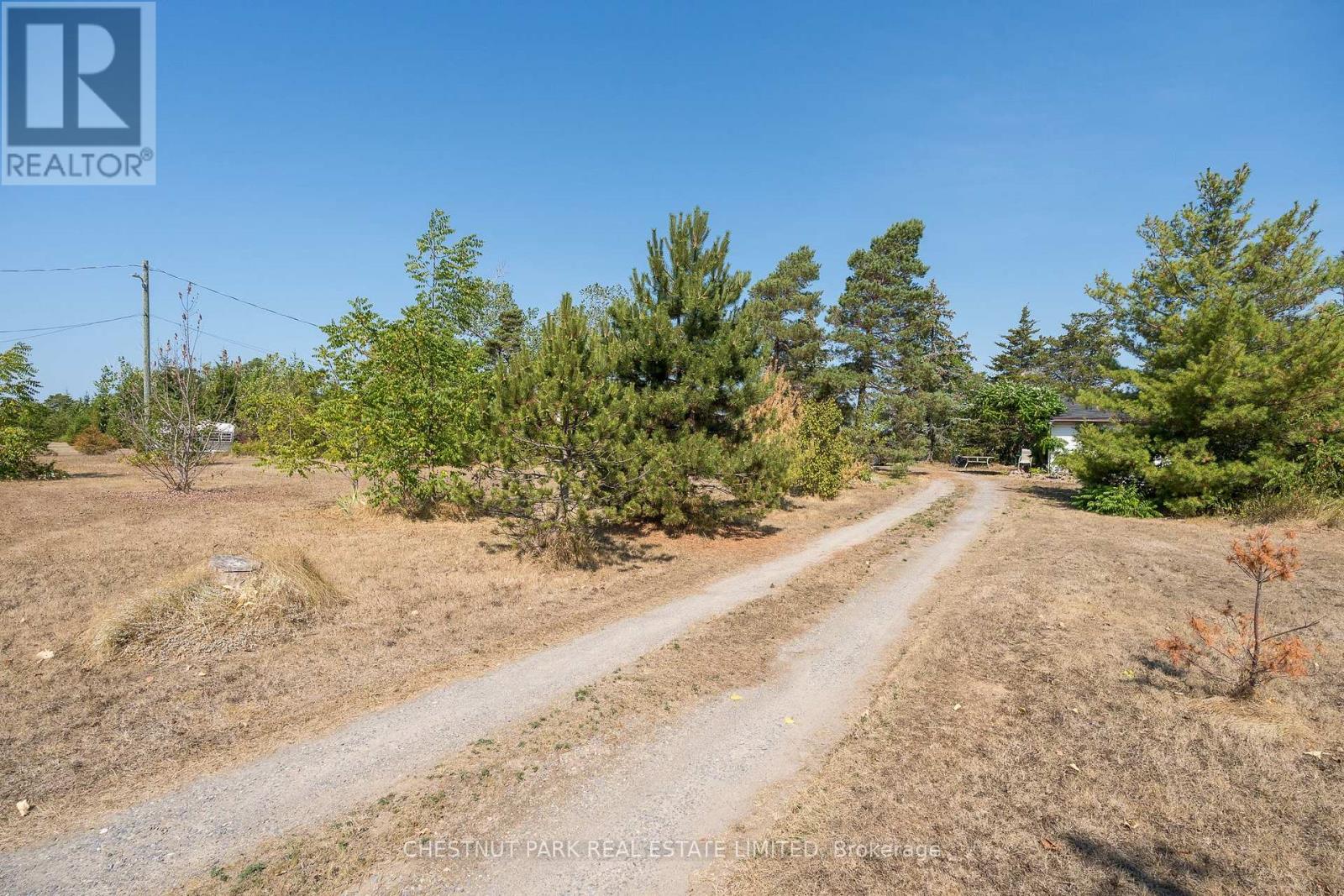 2035 County Rd 7, Prince Edward County, Ontario  K0K 2T0 - Photo 12 - X12285247
