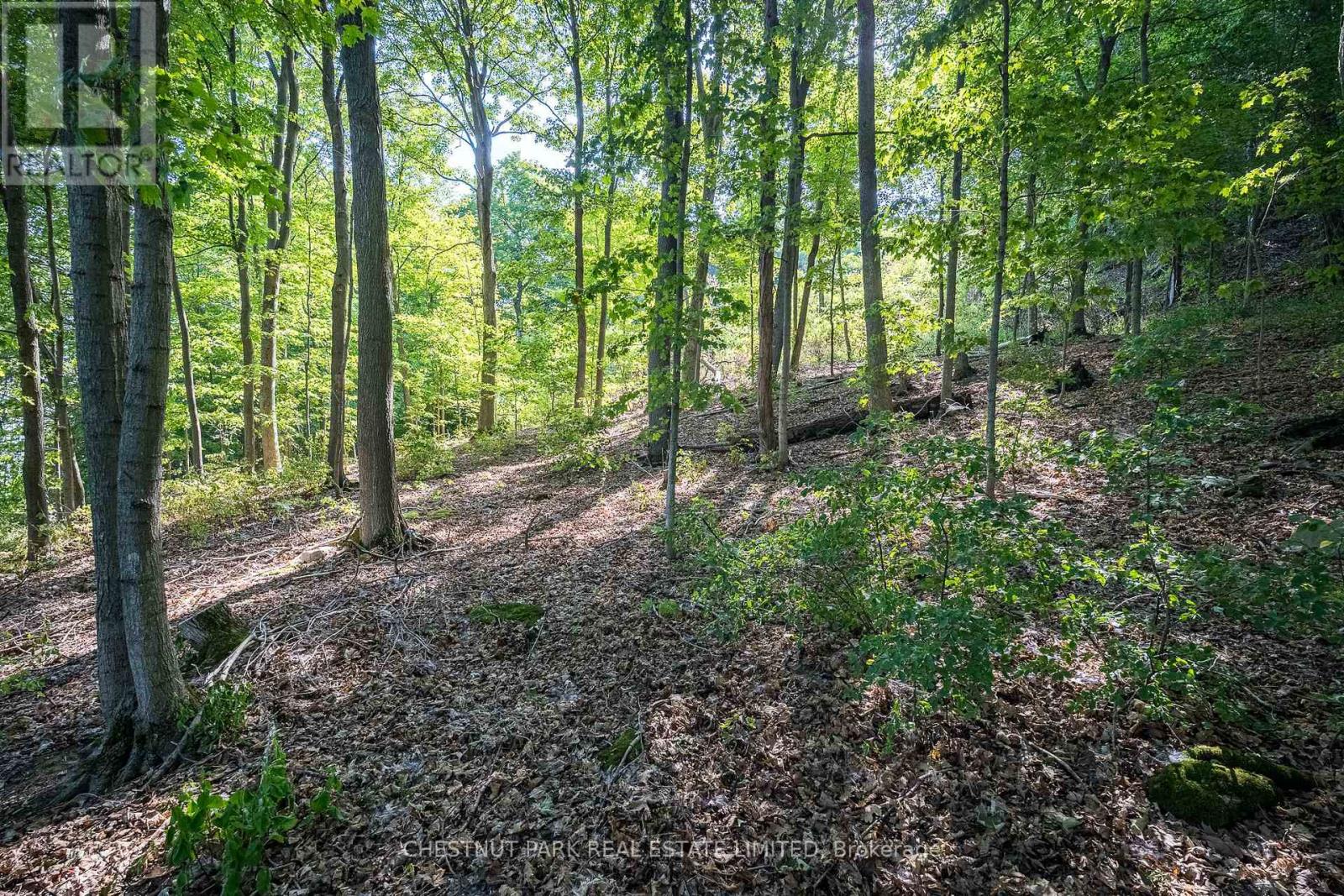 2035 County Rd 7, Prince Edward County, Ontario  K0K 2T0 - Photo 26 - X12285247