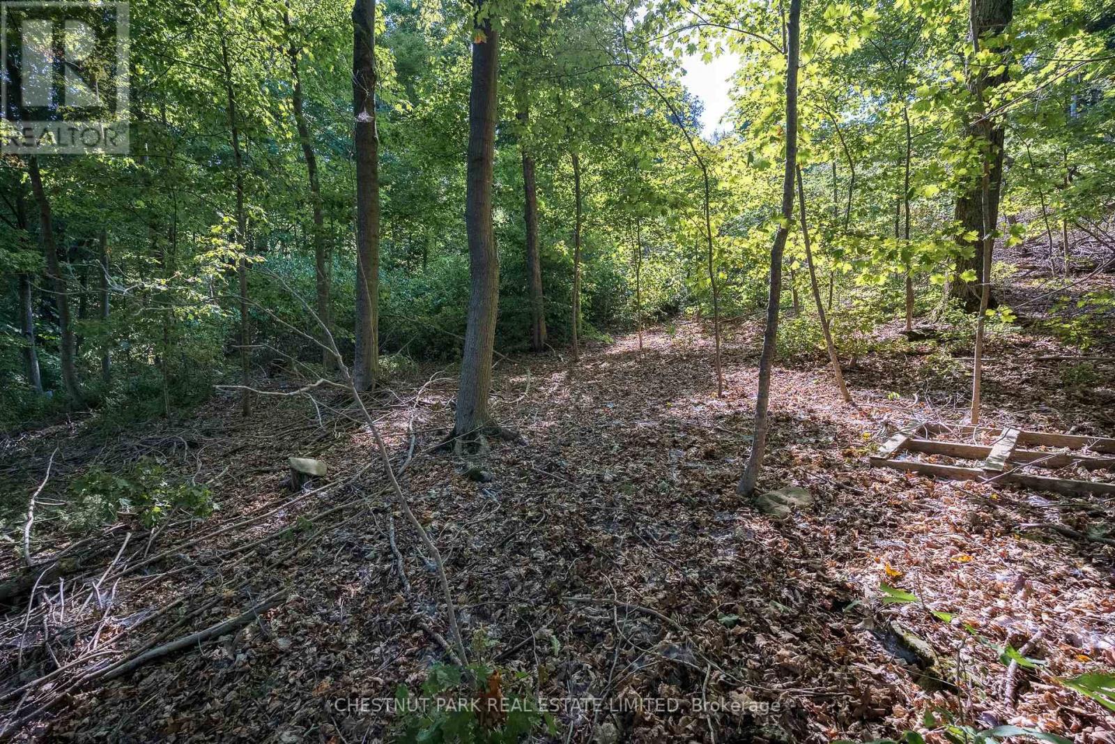 2035 County Rd 7, Prince Edward County, Ontario  K0K 2T0 - Photo 27 - X12285247