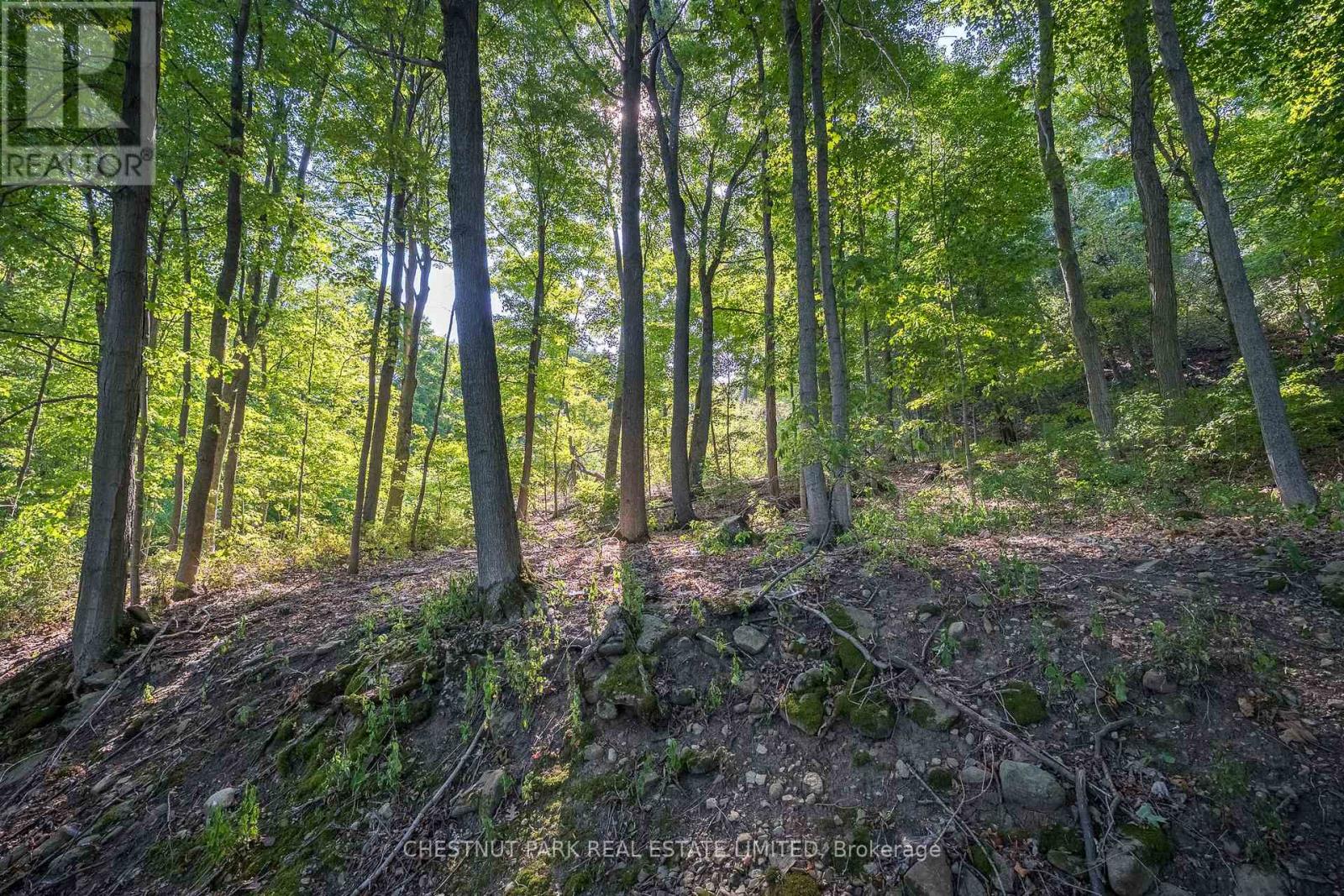 2035 County Rd 7, Prince Edward County, Ontario  K0K 2T0 - Photo 29 - X12285247