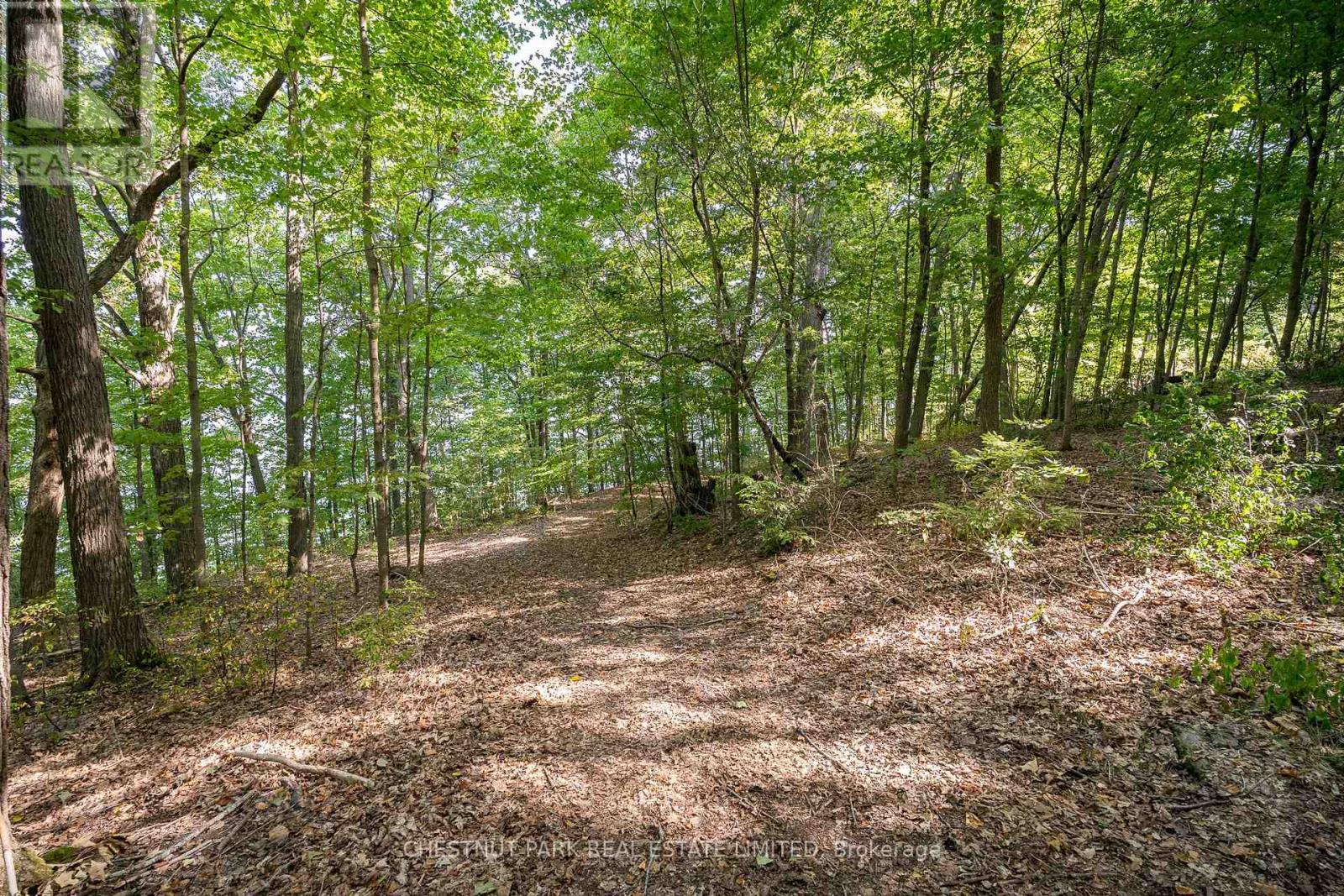 2035 County Rd 7, Prince Edward County, Ontario  K0K 2T0 - Photo 31 - X12285247