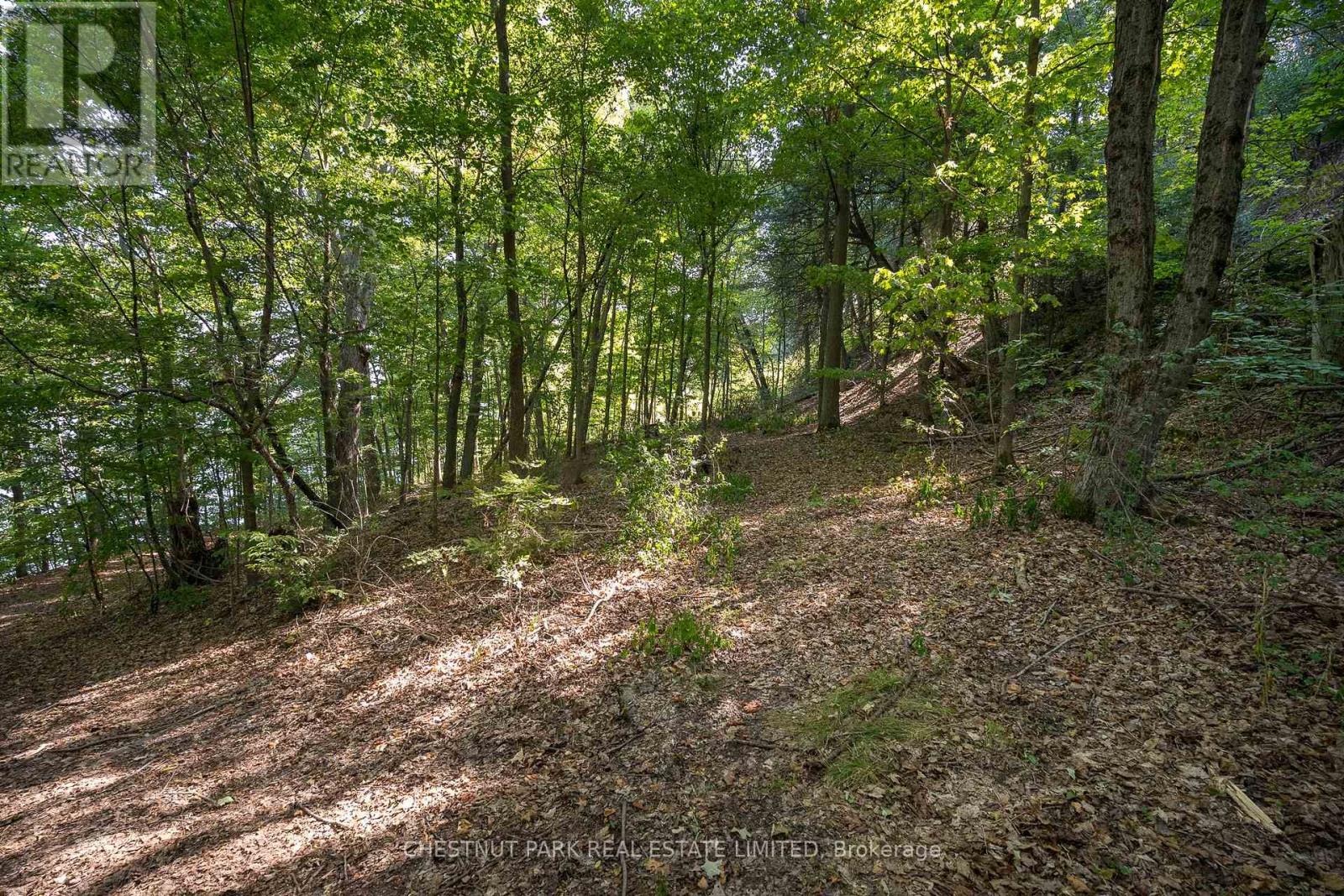 2035 County Rd 7, Prince Edward County, Ontario  K0K 2T0 - Photo 32 - X12285247