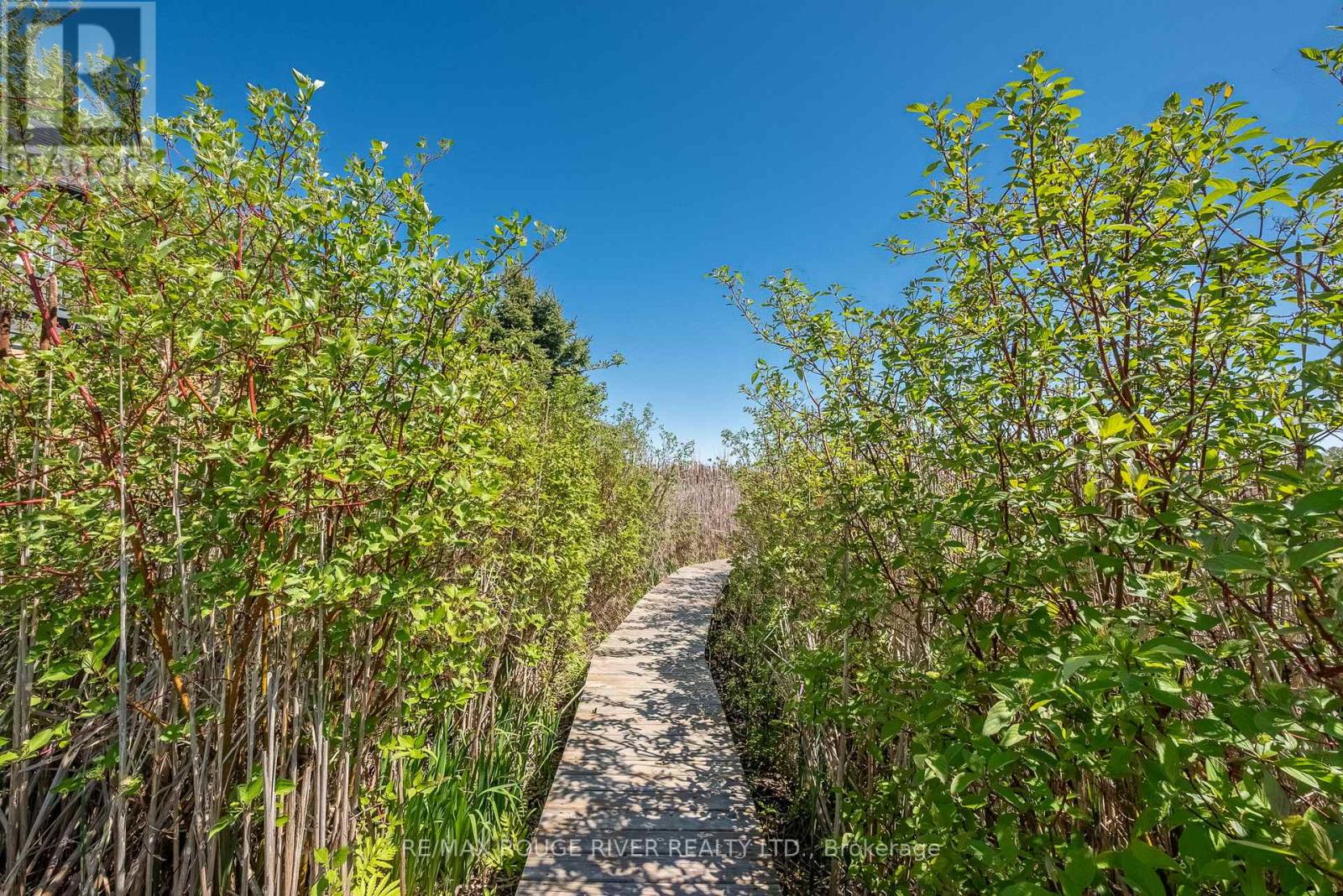 57 Harbour Street, Brighton, Ontario  K0K 1H0 - Photo 36 - X12288706