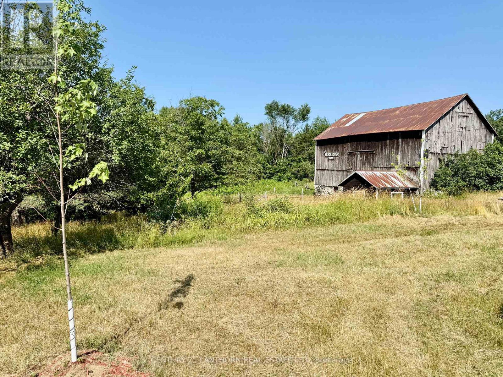172 Black River Road, Tweed, Ontario  K0K 3J0 - Photo 24 - X12294217