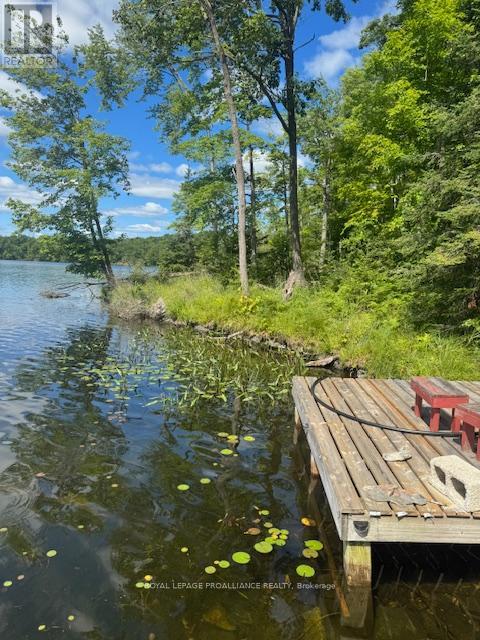 493 Buttermilk Lane N, Marmora And Lake, Ontario  K0K 2M0 - Photo 11 - X12301631