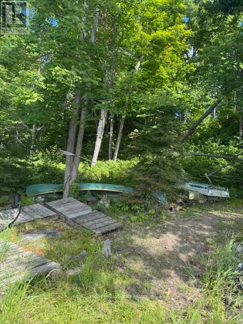 493 Buttermilk Lane N, Marmora And Lake, Ontario  K0K 2M0 - Photo 15 - X12301631
