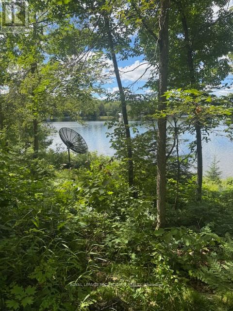 493 Buttermilk Lane N, Marmora And Lake, Ontario  K0K 2M0 - Photo 4 - X12301631