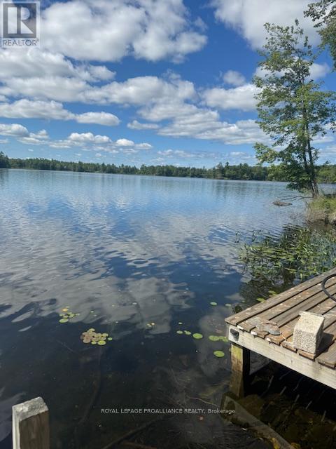 493 Buttermilk Lane N, Marmora And Lake, Ontario  K0K 2M0 - Photo 7 - X12301631