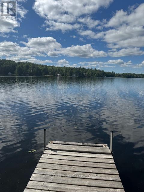 493 Buttermilk Lane N, Marmora And Lake, Ontario  K0K 2M0 - Photo 8 - X12301631