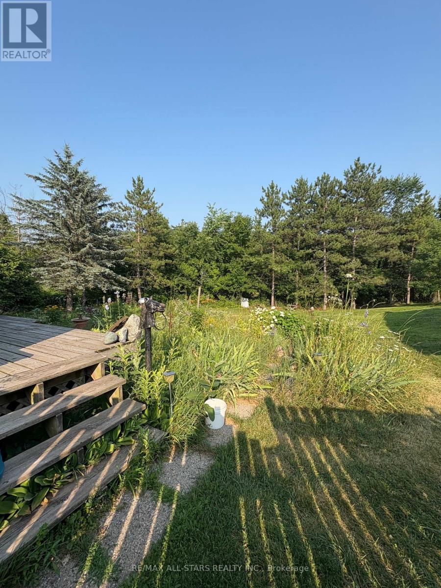 412 Cooper Road, Madoc, Ontario  K0K 2K0 - Photo 4 - X12304270