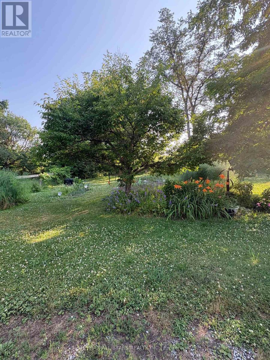 412 Cooper Road, Madoc, Ontario  K0K 2K0 - Photo 5 - X12304270