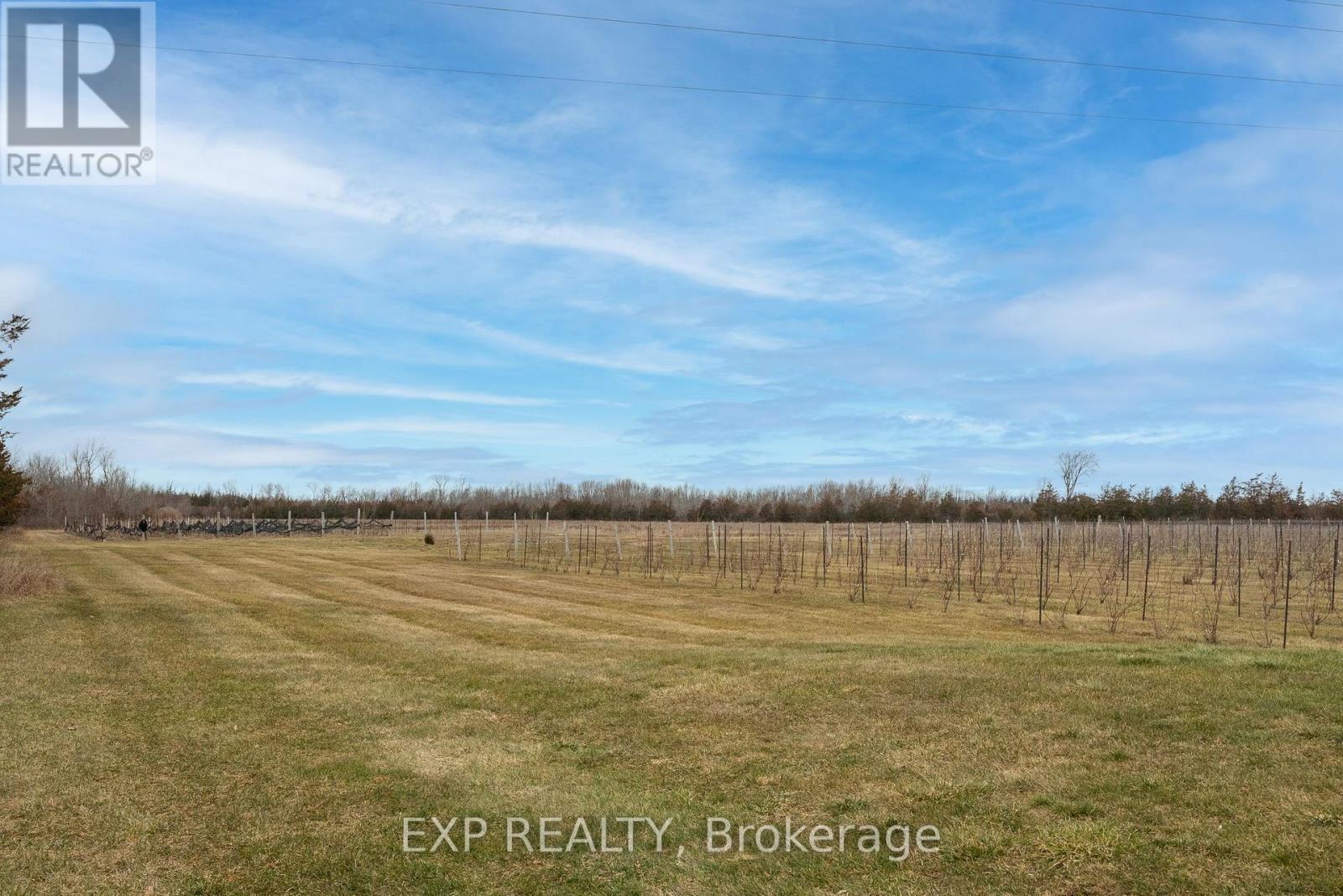 3589 County Road 8, Prince Edward County, Ontario  K0K 2T0 - Photo 37 - X12307182