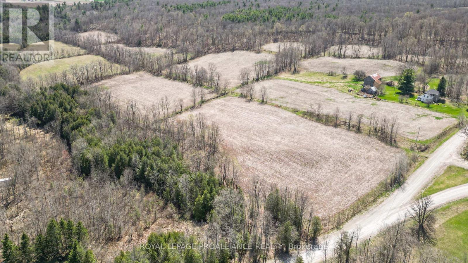 39 Palmateer Road, Tweed, Ontario  K0K 3J0 - Photo 35 - X12315534