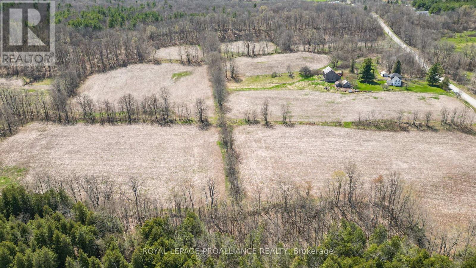 39 Palmateer Road, Tweed, Ontario  K0K 3J0 - Photo 36 - X12315534