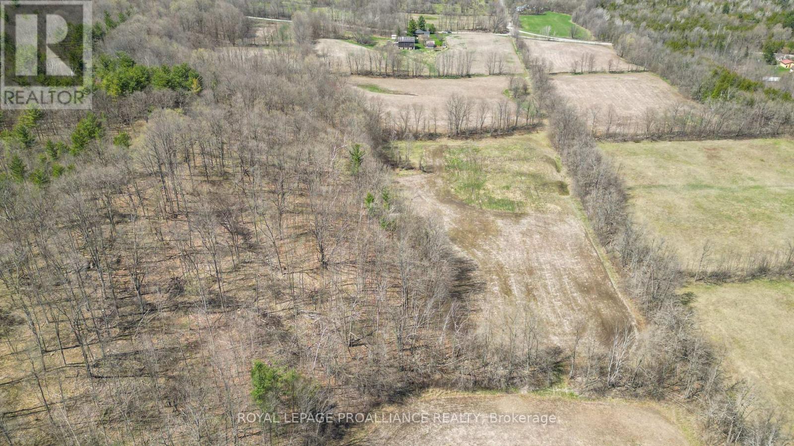 39 Palmateer Road, Tweed, Ontario  K0K 3J0 - Photo 37 - X12315534