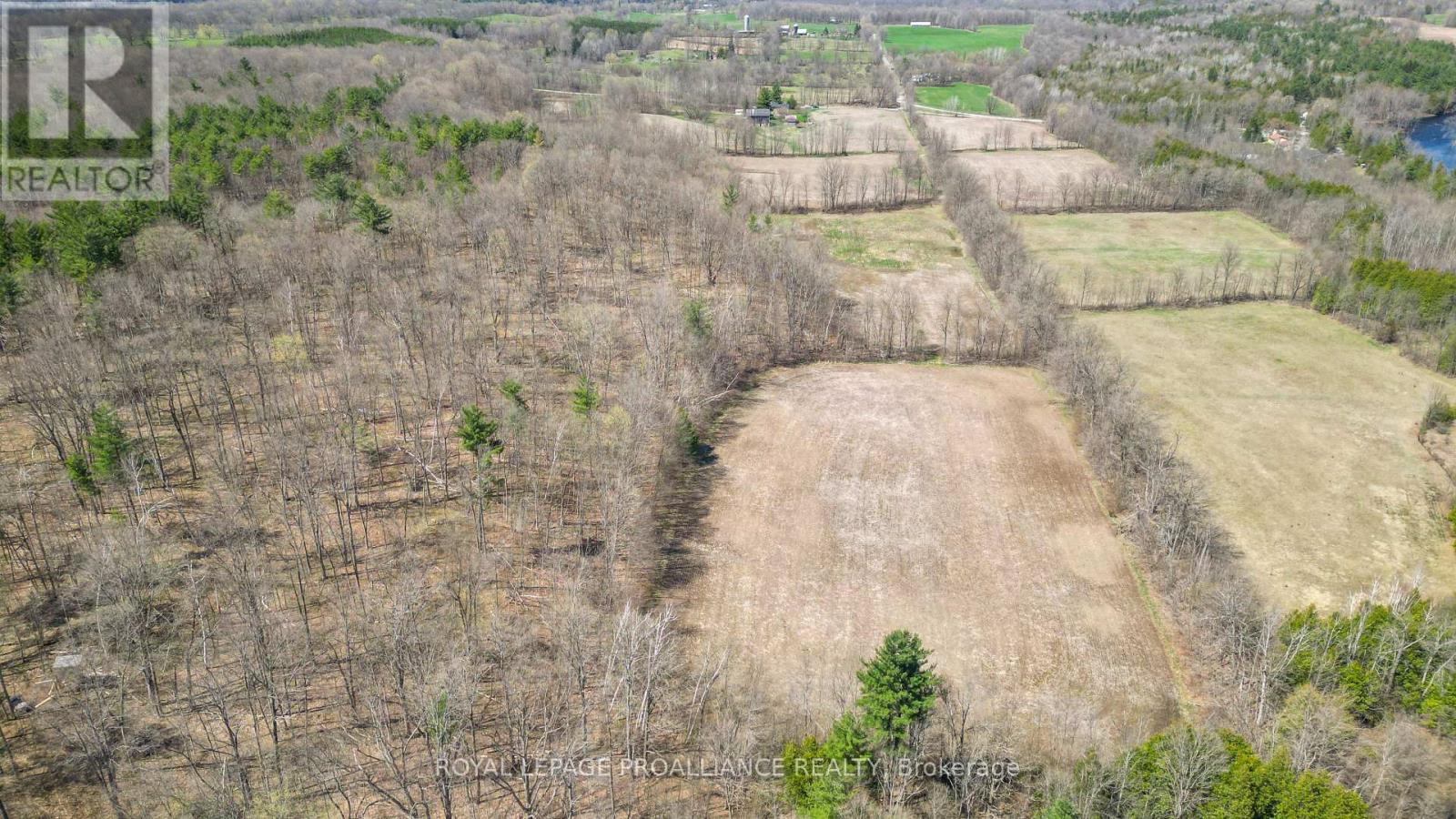 39 Palmateer Road, Tweed, Ontario  K0K 3J0 - Photo 38 - X12315534