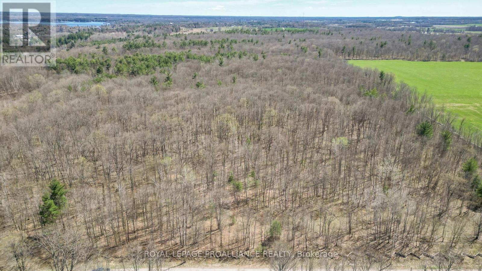 39 Palmateer Road, Tweed, Ontario  K0K 3J0 - Photo 44 - X12315534