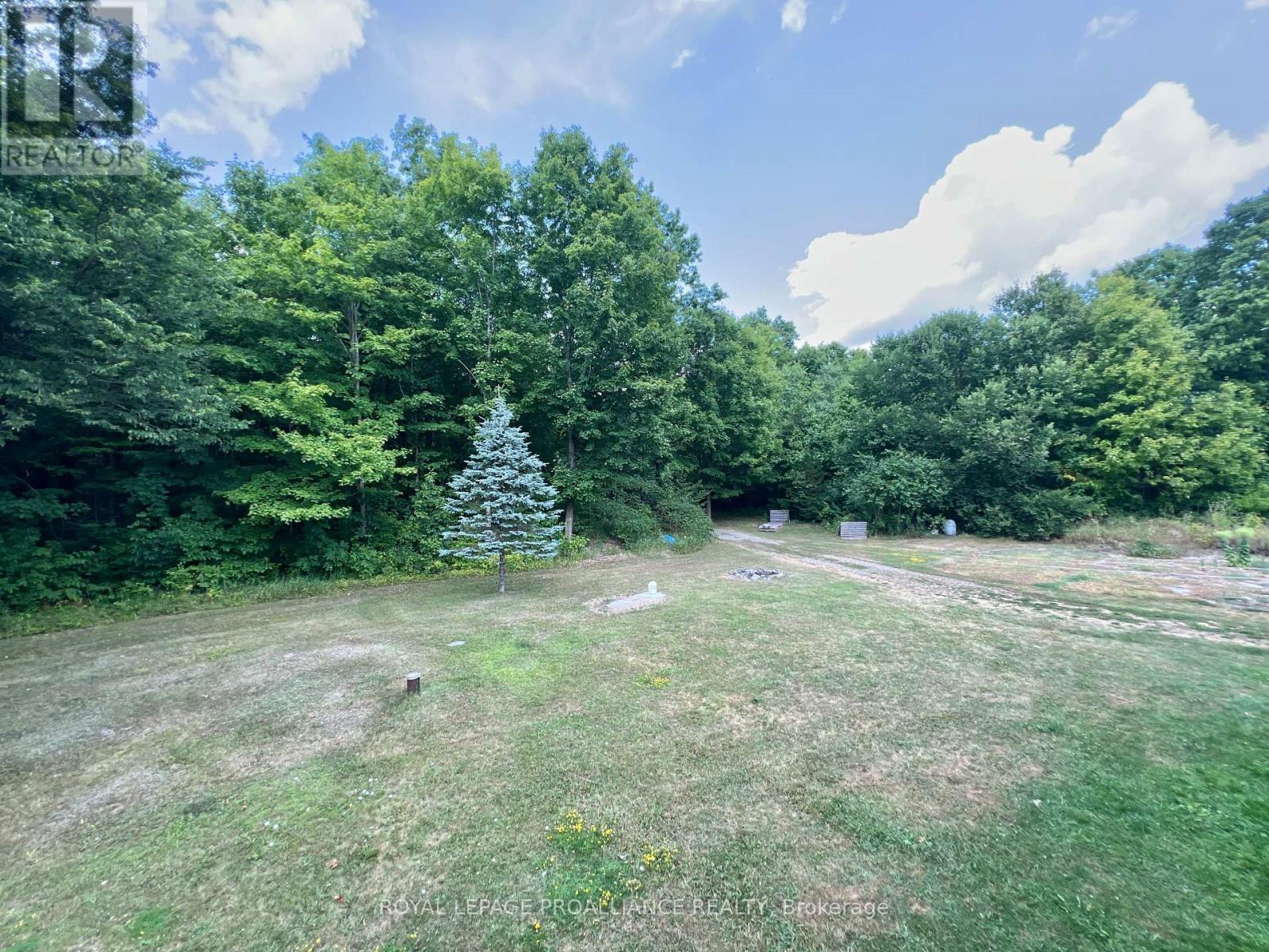 2201 Moneymore Road, Tweed, Ontario  K0K 2Y0 - Photo 27 - X12317926
