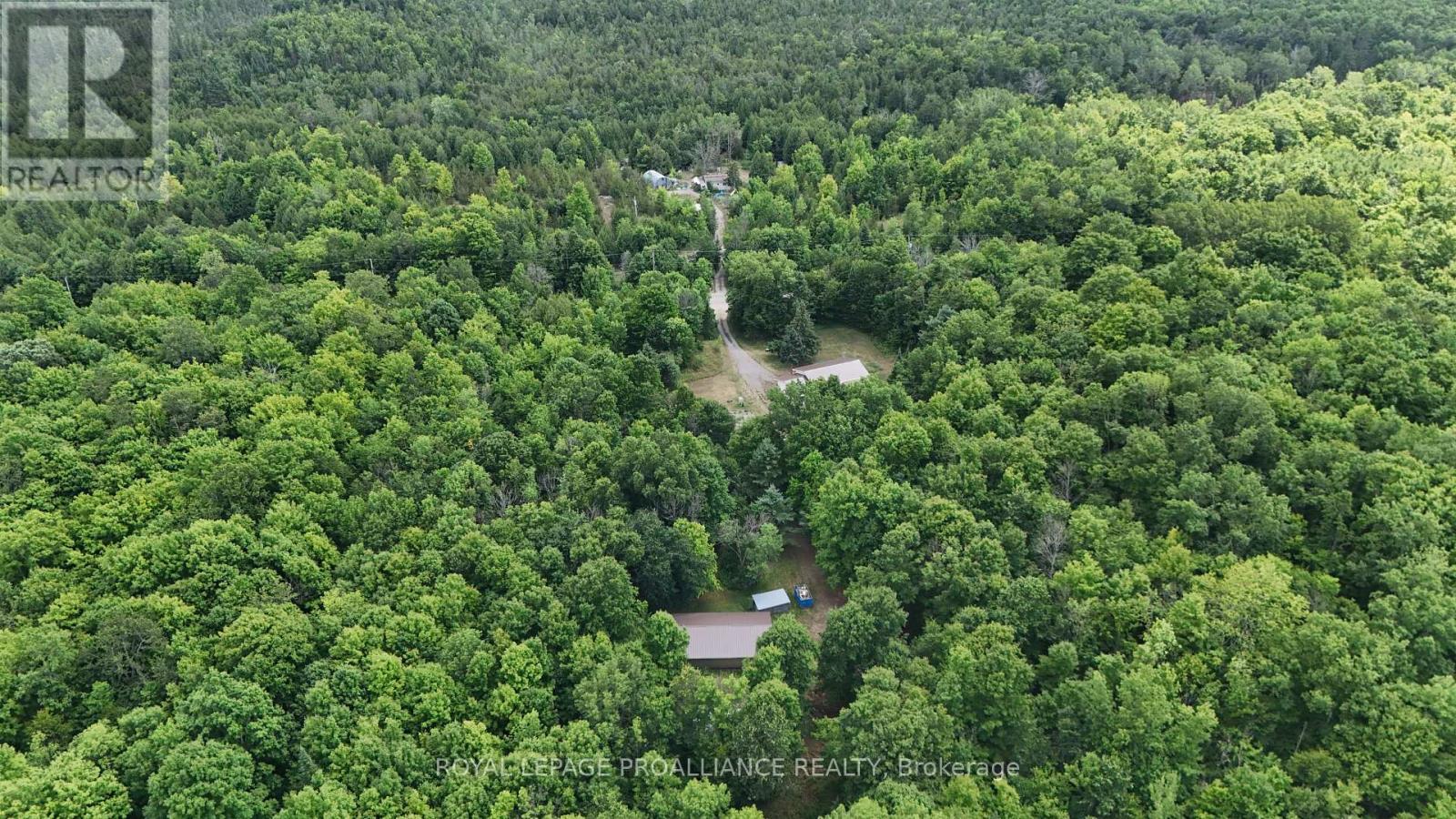 2201 Moneymore Road, Tweed, Ontario  K0K 2Y0 - Photo 4 - X12317926
