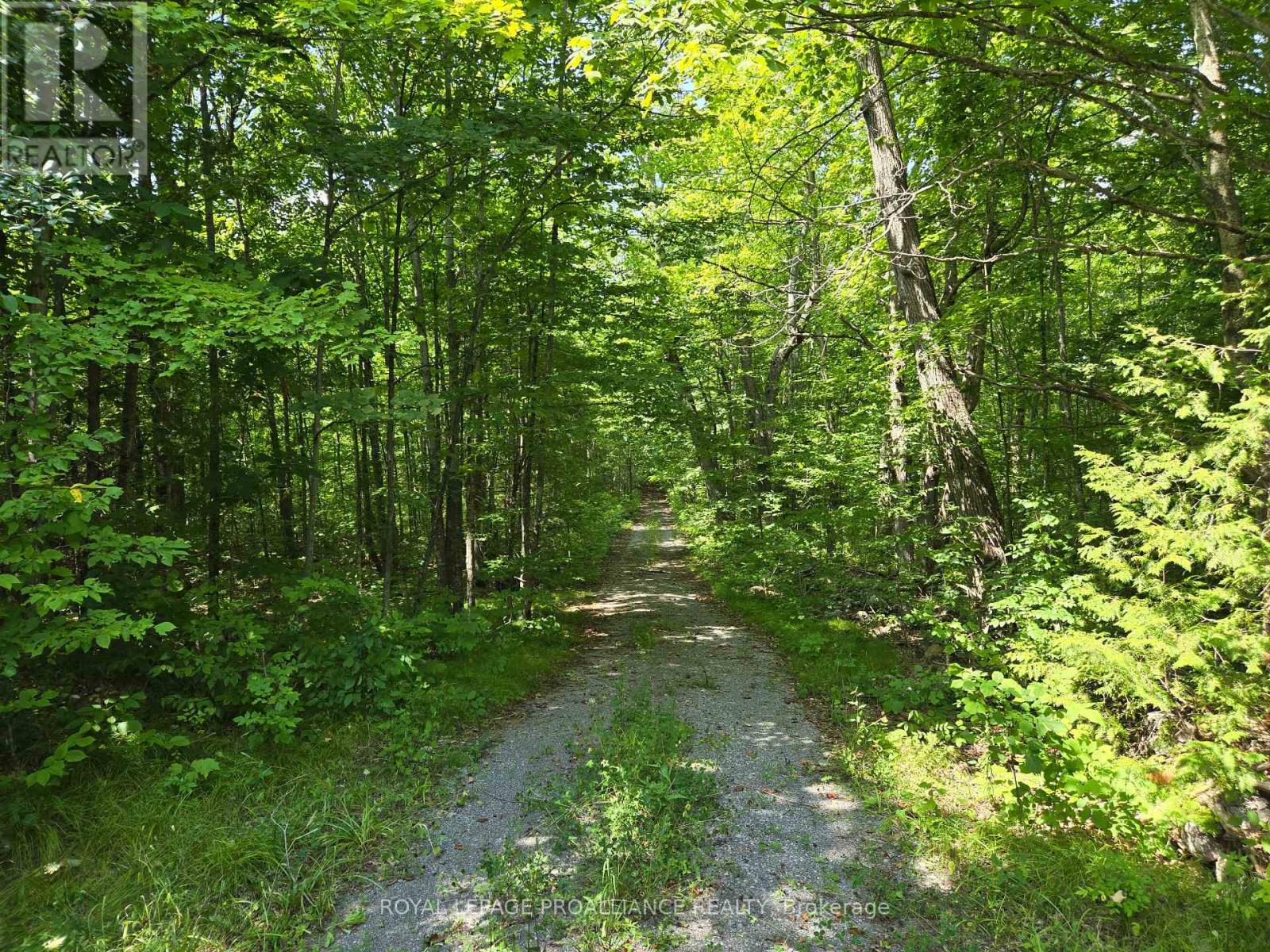 2201 Moneymore Road, Tweed, Ontario  K0K 2Y0 - Photo 40 - X12317926