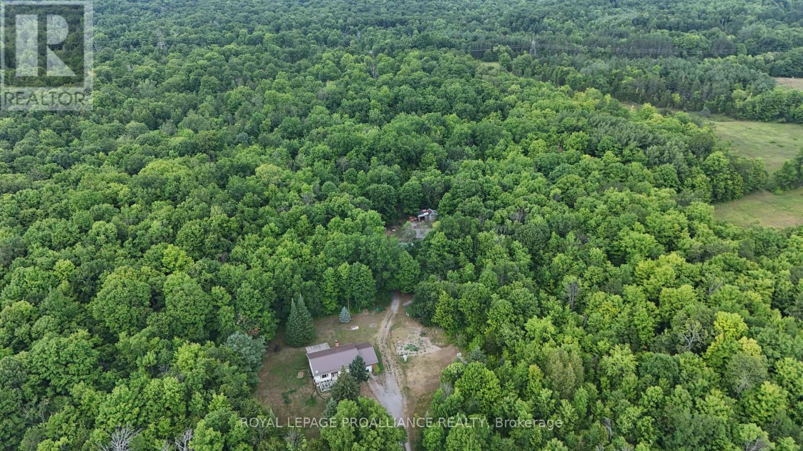 2201 Moneymore Road, Tweed, Ontario  K0K 2Y0 - Photo 41 - X12317926