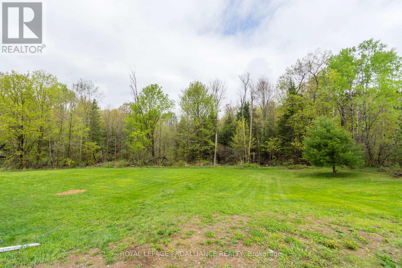 23b Mother's Road, Tweed, Ontario  K0K 3J0 - Photo 23 - X12319444