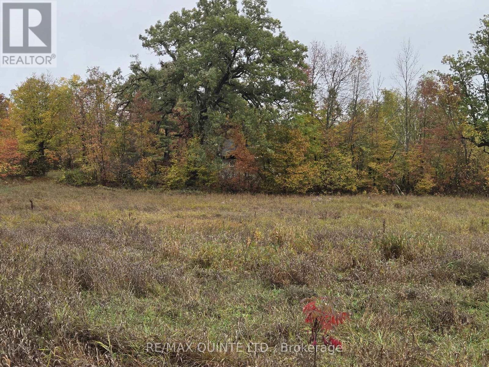 1578 Cooper Road, Madoc, Ontario  K0K 2K0 - Photo 10 - X12329302