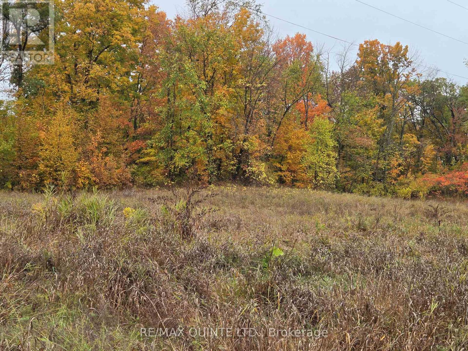 1578 Cooper Road, Madoc, Ontario  K0K 2K0 - Photo 12 - X12329302