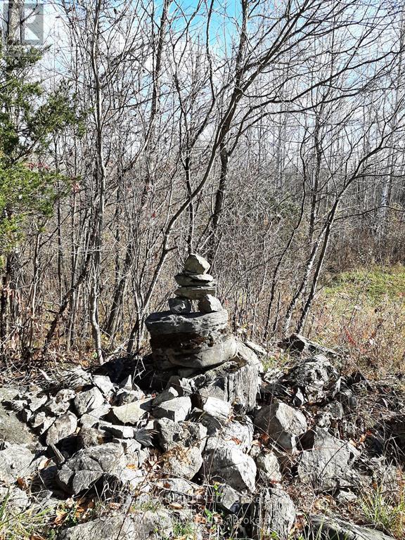1578 Cooper Road, Madoc, Ontario  K0K 2K0 - Photo 30 - X12329302