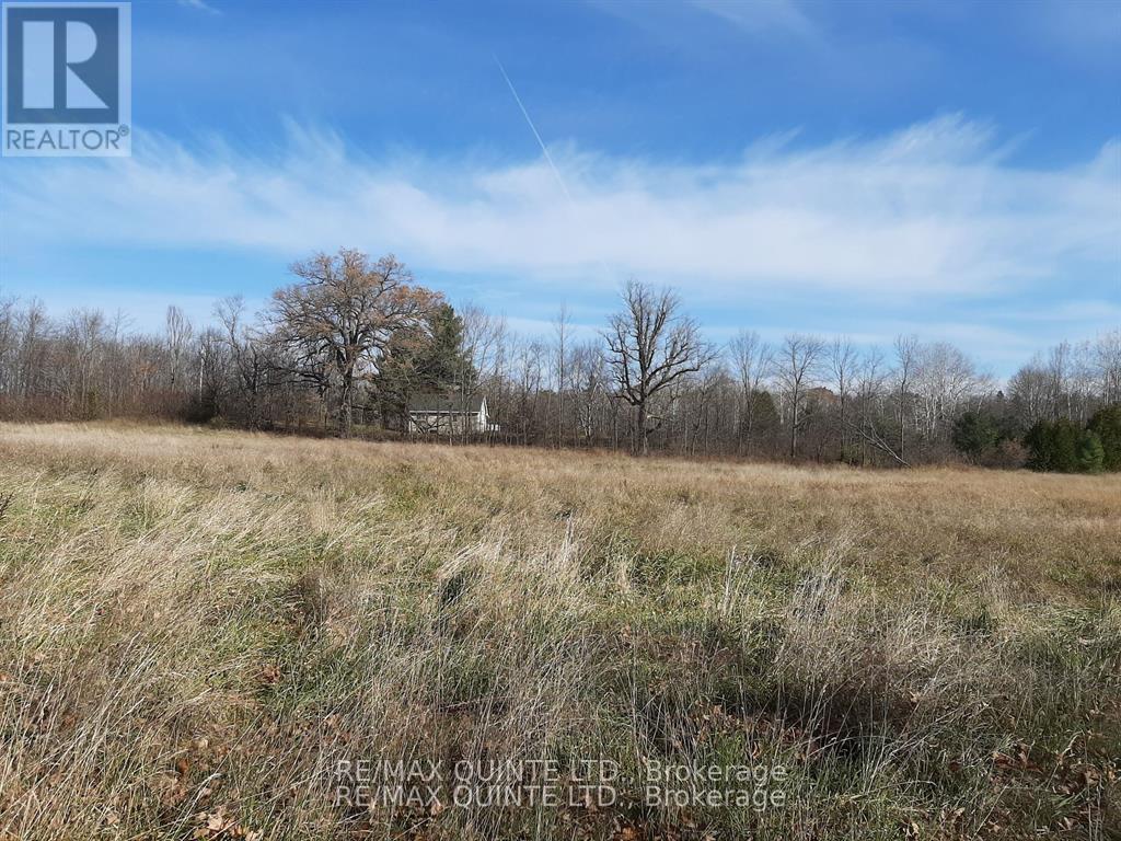 1578 Cooper Road, Madoc, Ontario  K0K 2K0 - Photo 35 - X12329302