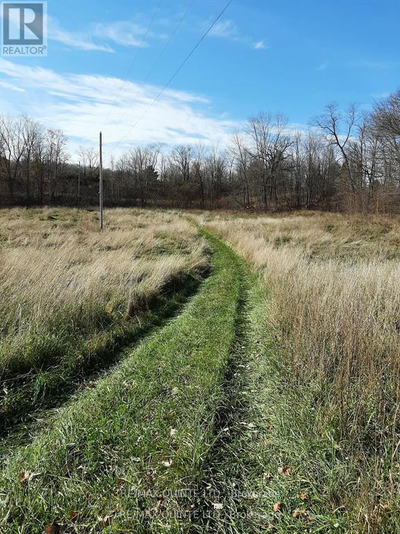 1578 Cooper Road, Madoc, Ontario  K0K 2K0 - Photo 37 - X12329302