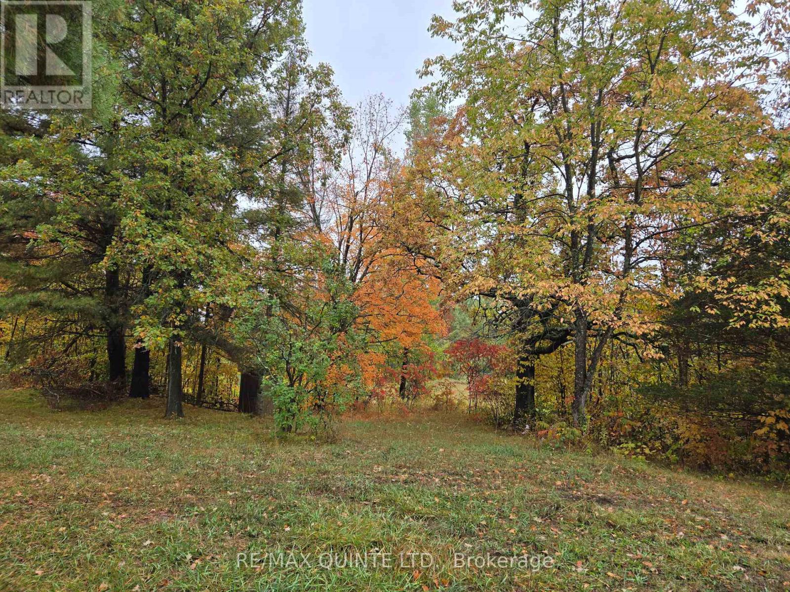1578 Cooper Road, Madoc, Ontario  K0K 2K0 - Photo 9 - X12329302