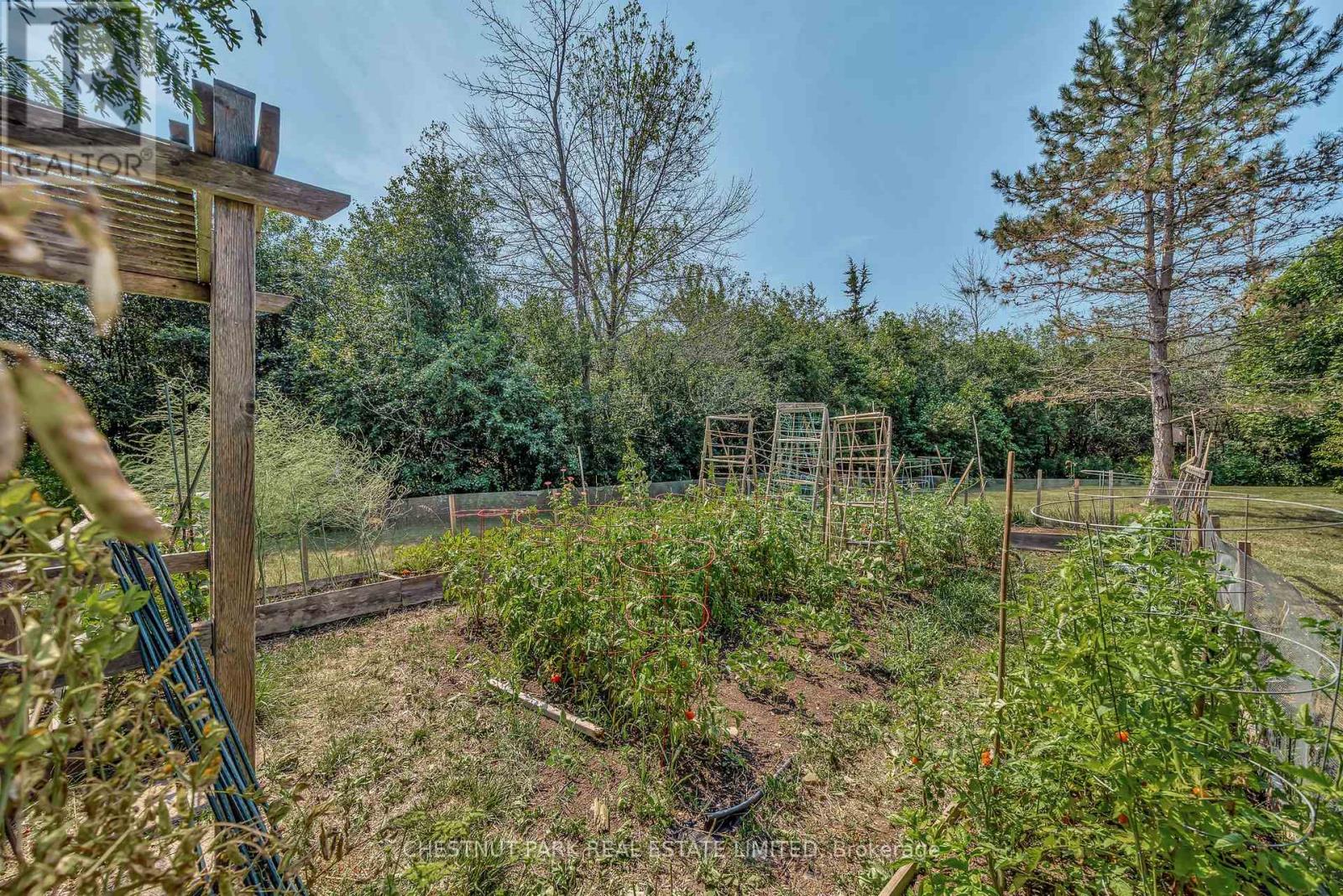207 Carnrike Road, Prince Edward County, Ontario  K0K 1T0 - Photo 33 - X12332520